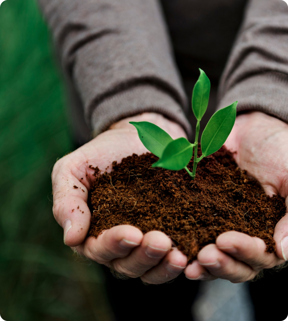detailing écologique Luxembourg